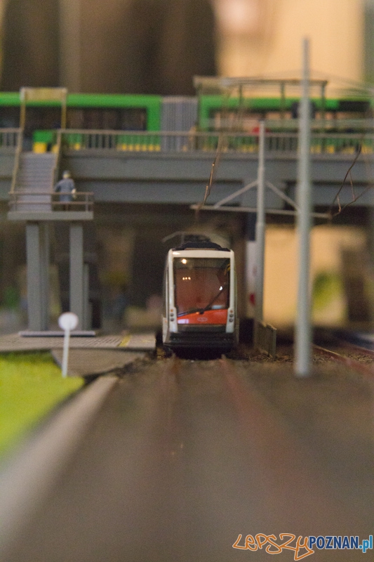 Katarzynki 2011 Foto: lepszyPOZNAN.pl / Piotr Rychter Katarzynki 2011 Foto: lepszyPOZNAN.pl / Piotr Rychter