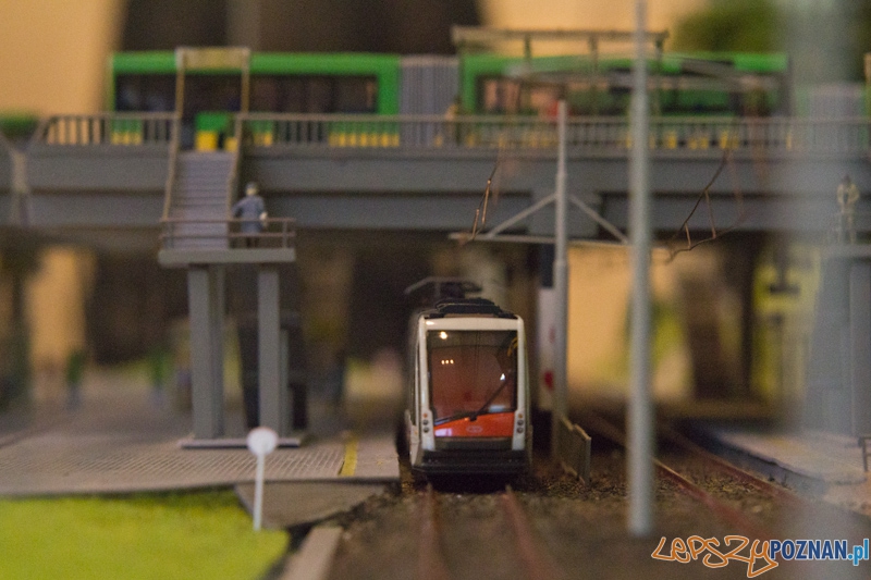 Katarzynki 2011 Foto: lepszyPOZNAN.pl / Piotr Rychter Katarzynki 2011 Foto: lepszyPOZNAN.pl / Piotr Rychter