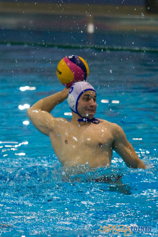 Prezentacja zespołu KS Waterpolo Poznań Foto: lepszyPOZNAN.pl / Piotr Rychter Prezentacja zespołu KS Waterpolo Poznań Foto: lepszyPOZNAN.pl / Piotr Rychter