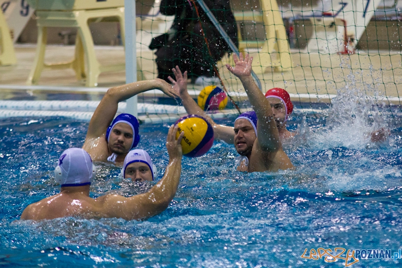 Prezentacja zespołu KS Waterpolo Poznań Foto: lepszyPOZNAN.pl / Piotr Rychter Prezentacja zespołu KS Waterpolo Poznań Foto: lepszyPOZNAN.pl / Piotr Rychter