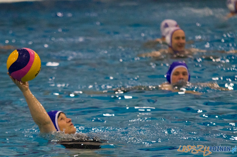 Prezentacja zespołu KS Waterpolo Poznań - dyrektor wydziału sportu Ewa Bąk Foto: lepszyPOZNAN.pl / Piotr Rychter Prezentacja zespołu KS Waterpolo Poznań - dyrektor wydziału sportu Ewa Bąk Foto: lepszyPOZNAN.pl / Piotr Rychter