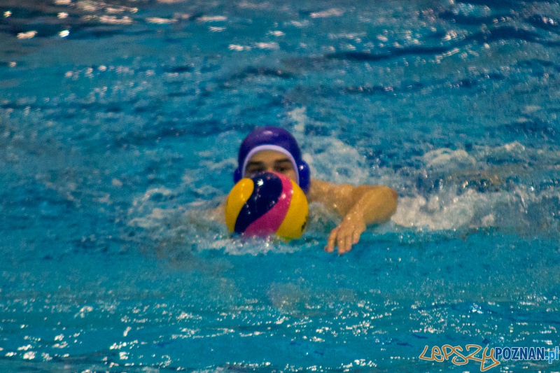 Prezentacja zespołu KS Waterpolo Poznań - dziennikarze vs zawodnicy Foto: lepszyPOZNAN.pl / Piotr Rychter Prezentacja zespołu KS Waterpolo Poznań - dziennikarze vs zawodnicy Foto: lepszyPOZNAN.pl / Piotr Rychter