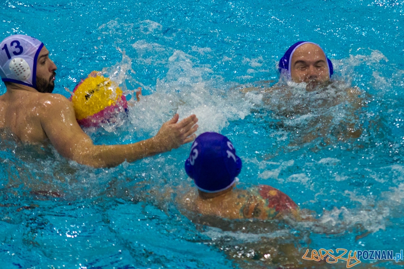 Prezentacja zespołu KS Waterpolo Poznań - dziennikarze vs zawodnicy Foto: lepszyPOZNAN.pl / Piotr Rychter Prezentacja zespołu KS Waterpolo Poznań - dziennikarze vs zawodnicy Foto: lepszyPOZNAN.pl / Piotr Rychter