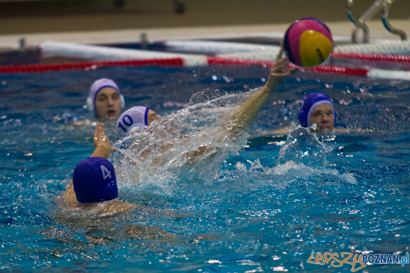 Prezentacja zespołu KS Waterpolo Poznań - dziennikarze vs zawodnicy Foto: lepszyPOZNAN.pl / Piotr Rychter Prezentacja zespołu KS Waterpolo Poznań - dziennikarze vs zawodnicy Foto: lepszyPOZNAN.pl / Piotr Rychter