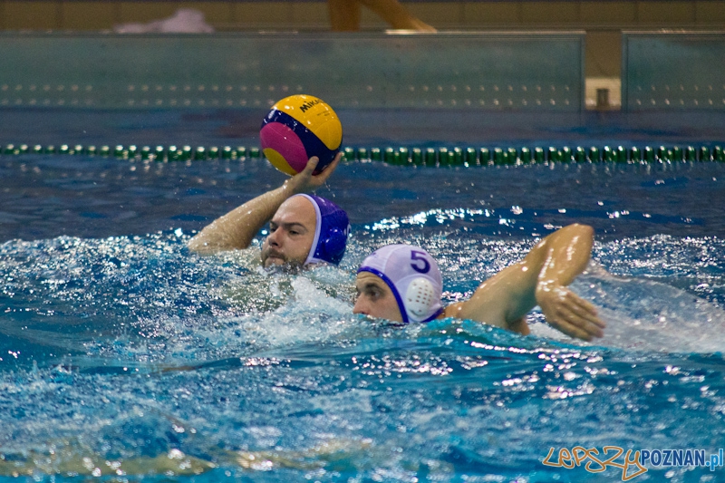 Prezentacja zespołu KS Waterpolo Poznań - dziennikarze vs zawodnicy Foto: lepszyPOZNAN.pl / Piotr Rychter Prezentacja zespołu KS Waterpolo Poznań - dziennikarze vs zawodnicy Foto: lepszyPOZNAN.pl / Piotr Rychter