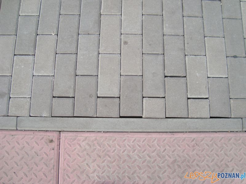 peron 2 smutny obraz rzeczywistości Foto: Stowarzyszenie Inwestycja dla Poznania peron 2 smutny obraz rzeczywistości Foto: Stowarzyszenie Inwestycja dla Poznania