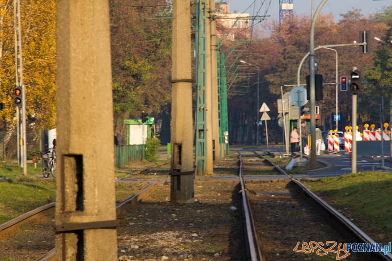 Linia tramwajowa na Junikowo Foto: lepszyPOZNAN.pl / Piotr Rychter Linia tramwajowa na Junikowo Foto: lepszyPOZNAN.pl / Piotr Rychter