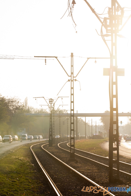 Linia tramwajowa na Junikowo Foto: lepszyPOZNAN.pl / Piotr Rychter Linia tramwajowa na Junikowo Foto: lepszyPOZNAN.pl / Piotr Rychter