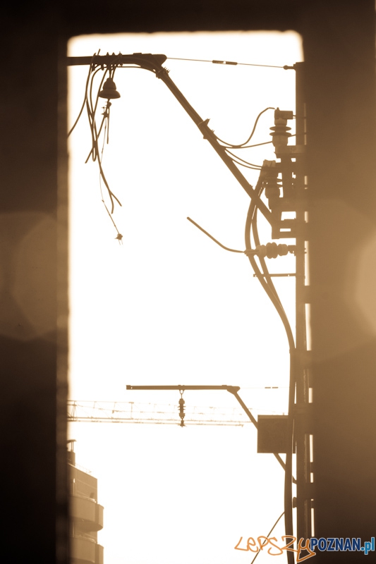 Linia tramwajowa na Junikowo Foto: lepszyPOZNAN.pl / Piotr Rychter Linia tramwajowa na Junikowo Foto: lepszyPOZNAN.pl / Piotr Rychter