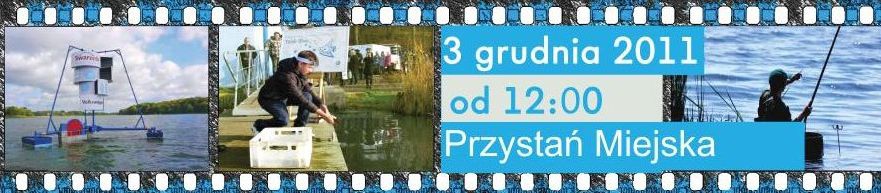 ryba biała plakat  Foto: 