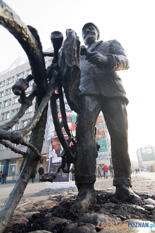 Zniszczona instalacja na Starym Marychu - 20.11.2011 r. Foto: lepszyPOZNAN.pl/ Piotr Rychter Zniszczona instalacja na Starym Marychu - 20.11.2011 r. Foto: lepszyPOZNAN.pl/ Piotr Rychter