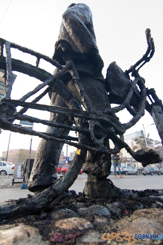 Zniszczona instalacja na Starym Marychu - 20.11.2011 r. Foto: lepszyPOZNAN.pl/ Piotr Rychter Zniszczona instalacja na Starym Marychu - 20.11.2011 r. Foto: lepszyPOZNAN.pl/ Piotr Rychter