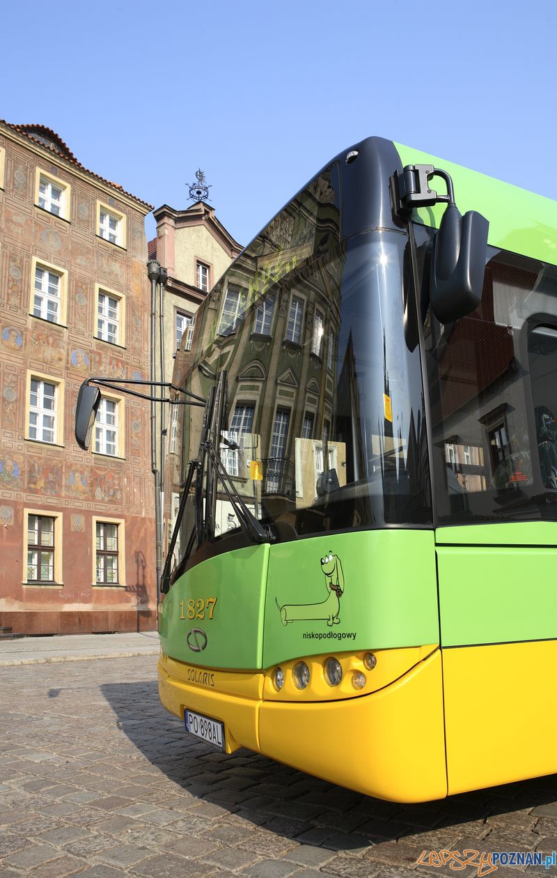 urbino_006 Foto: urbino_006 Foto: