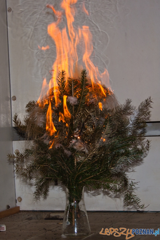 Bezpieczne Święta z Wielkopolską PSP - Poznań 22.12.2011 r. Foto: LepszyPOZNAN.pl / Paweł Rychter Bezpieczne Święta z Wielkopolską PSP - Poznań 22.12.2011 r. Foto: LepszyPOZNAN.pl / Paweł Rychter