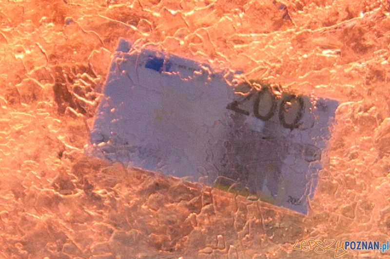 VI Międzynarodowy Festiwal Rzeźby Lodowej w Poznaniu - 10.12.2011 r. Foto: LepszyPOZNAN.pl / Paweł Rychter VI Międzynarodowy Festiwal Rzeźby Lodowej w Poznaniu - 10.12.2011 r. Foto: LepszyPOZNAN.pl / Paweł Rychter