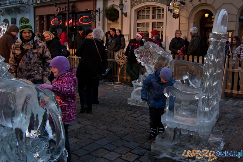 VI Międzynarodowy Festiwal Rzeźby Lodowej w Poznaniu - 10.12.2011 r. Foto: LepszyPOZNAN.pl / Paweł Rychter VI Międzynarodowy Festiwal Rzeźby Lodowej w Poznaniu - 10.12.2011 r. Foto: LepszyPOZNAN.pl / Paweł Rychter