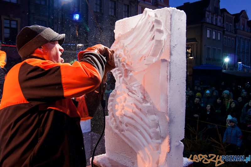 VI Międzynarodowy Festiwal Rzeźby Lodowej w Poznaniu - 10.12.2011 r. Foto: LepszyPOZNAN.pl / Paweł Rychter VI Międzynarodowy Festiwal Rzeźby Lodowej w Poznaniu - 10.12.2011 r. Foto: LepszyPOZNAN.pl / Paweł Rychter