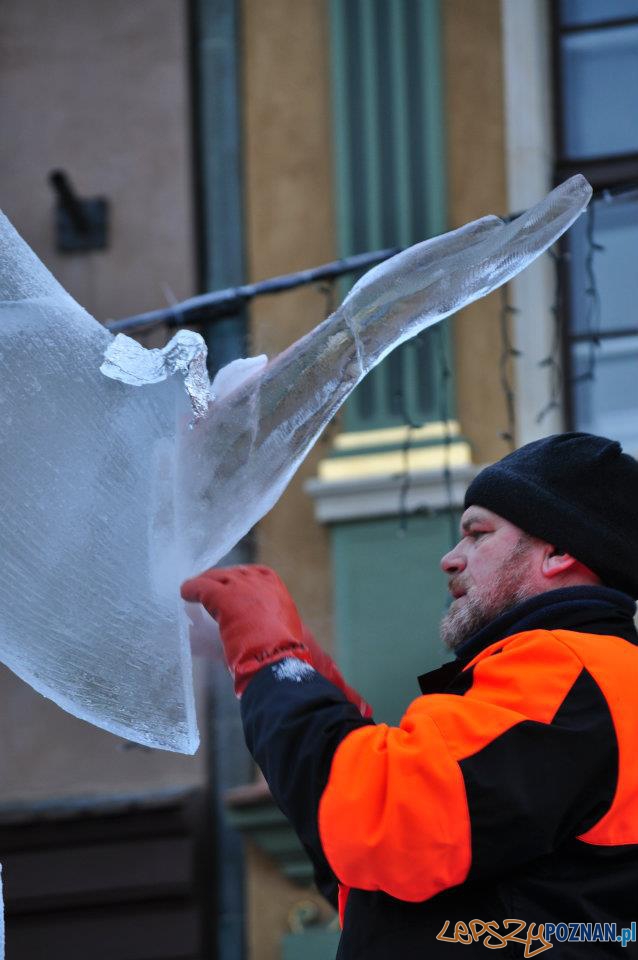 Festiwal Rzeźby Lodowej - dzień drugi - Stary Rynek 11.12.2011 r. Foto: Ewa Kornatowska Festiwal Rzeźby Lodowej - dzień drugi - Stary Rynek 11.12.2011 r. Foto: Ewa Kornatowska