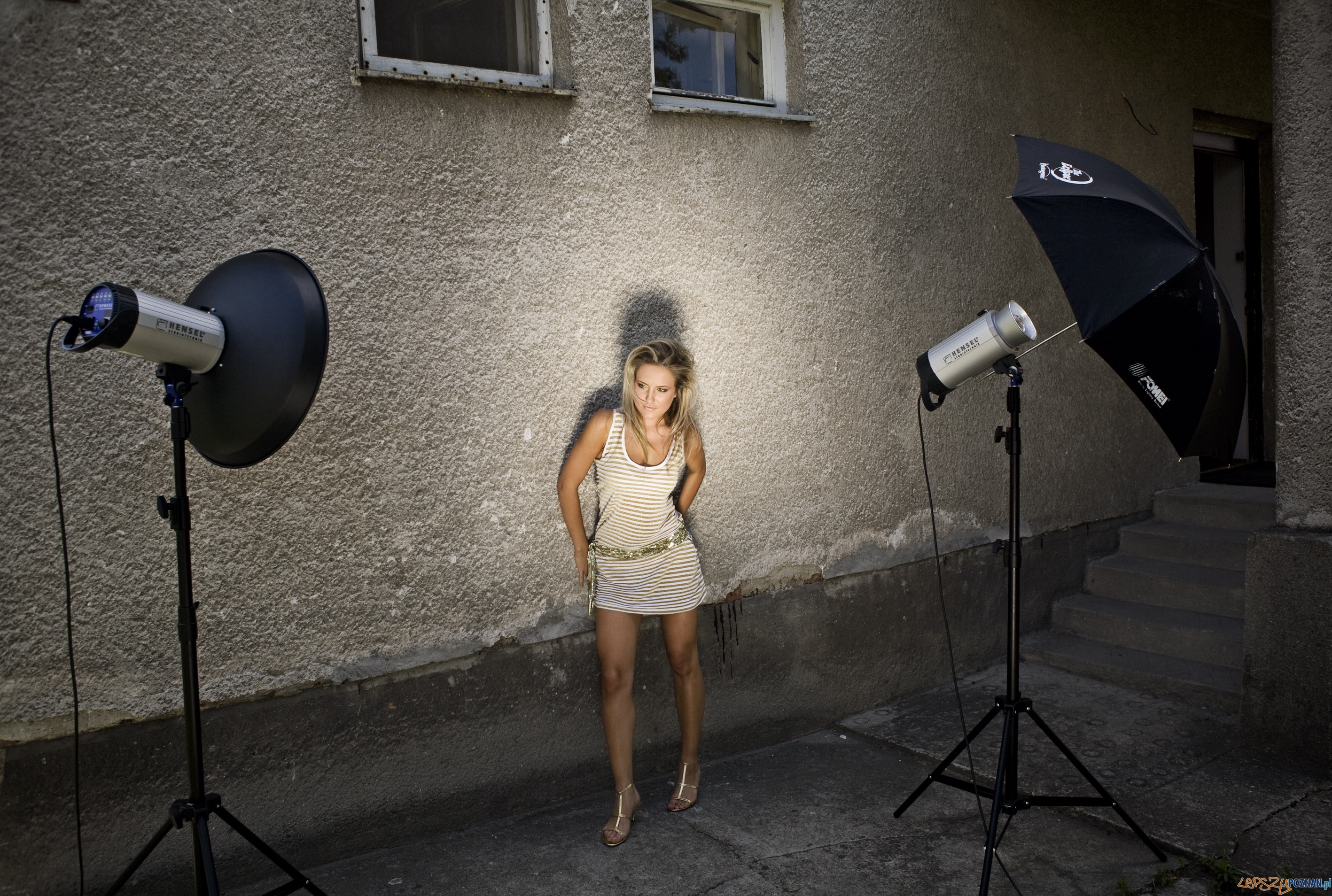 American Dream 1 Foto: American Dream 1 Foto: