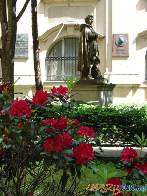 Pomnik Mickiewicza na dziedzińcu PTPN Foto: Pomnik Mickiewicza na dziedzińcu PTPN Foto: