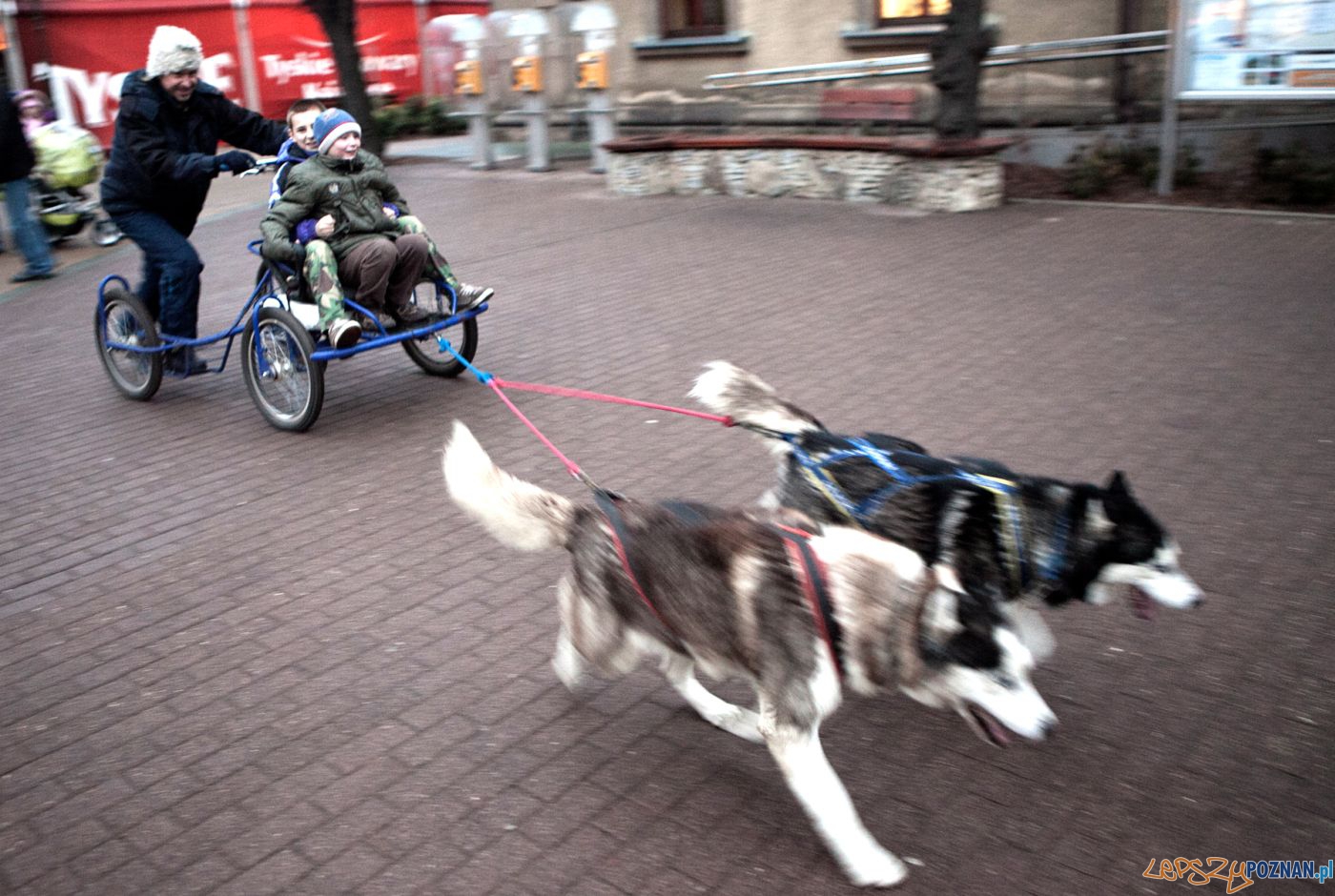 Swiąteczny weekend w Swarzędzu Foto: H. Błachnio Swiąteczny weekend w Swarzędzu Foto: H. Błachnio