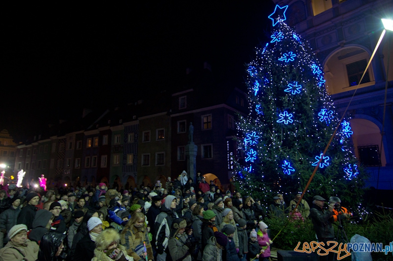 Festiwal Rzeźby Lodowej - wręczenie nagród - 11.12.2011 r. Foto: lepszyPOZNAN.pl / Piotr Rychter Festiwal Rzeźby Lodowej - wręczenie nagród - 11.12.2011 r. Foto: lepszyPOZNAN.pl / Piotr Rychter