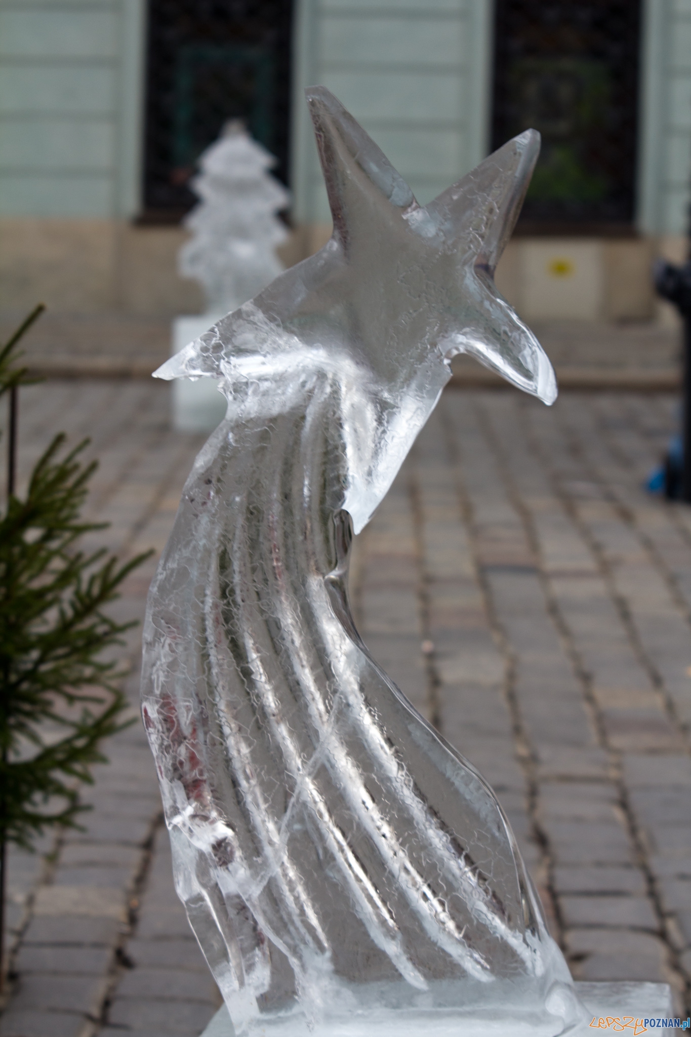 Festiwal Rzeźby Lodowej - dzień drugi - Stary Rynek 11.12.2011 r. Foto: lepszyPOZNAN.pl / Piotr Rychter Festiwal Rzeźby Lodowej - dzień drugi - Stary Rynek 11.12.2011 r. Foto: lepszyPOZNAN.pl / Piotr Rychter