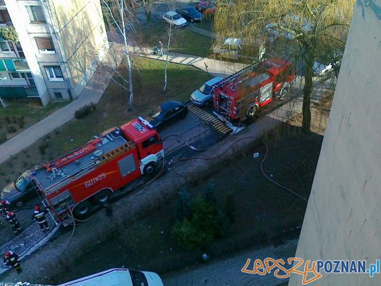 Palił się dach w Śremie Foto: Cezary Kobierski Palił się dach w Śremie Foto: Cezary Kobierski