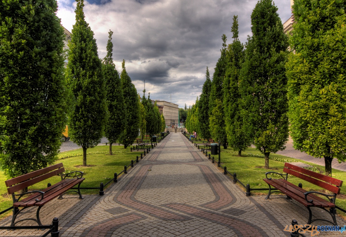 City of play - wyróżnienie jury - Al. Marcinkowskiego - Radosław Maciejewski Foto: Radosław Maciejewski City of play - wyróżnienie jury - Al. Marcinkowskiego - Radosław Maciejewski Foto: Radosław Maciejewski