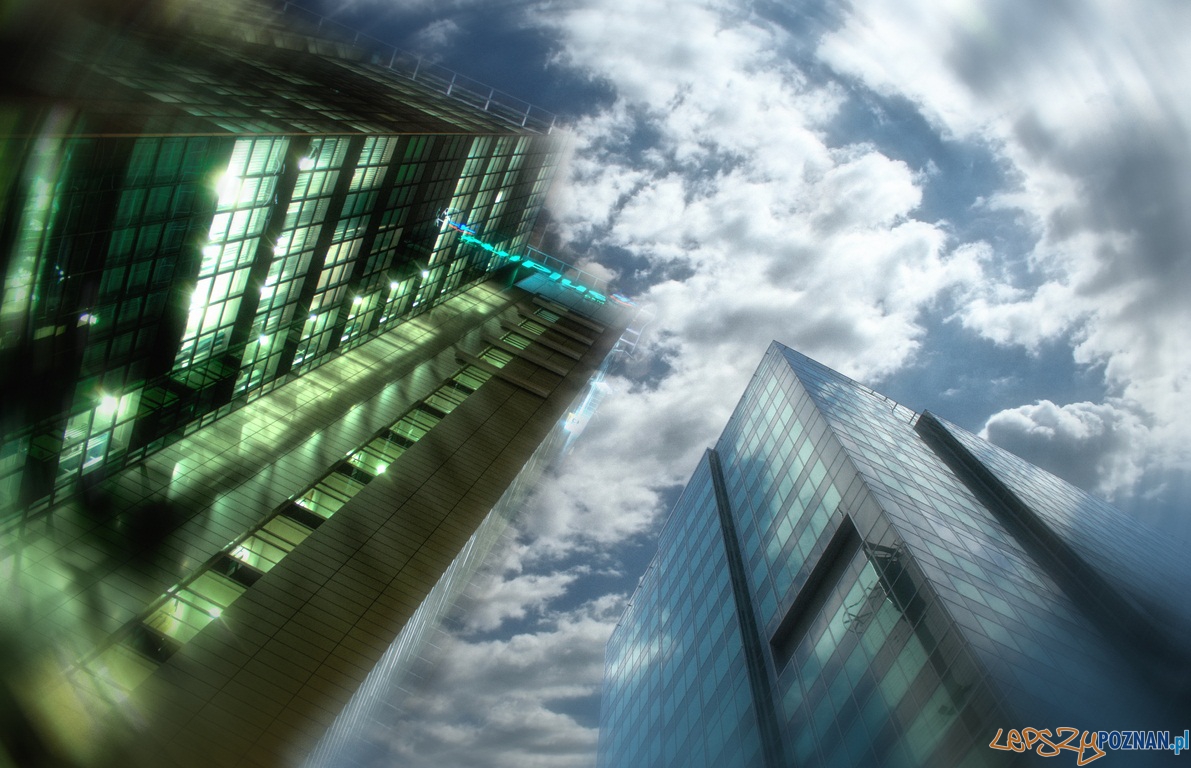 Wyróżnienie w kategorii Kolaż - Nocodzień - Radosław Maciejewski Foto: Wyróżnienie w kategorii Kolaż - Nocodzień - Radosław Maciejewski Foto: