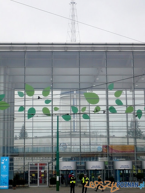 Most Dworcowy - tutaj policja kontroluje pieszych  Foto: 