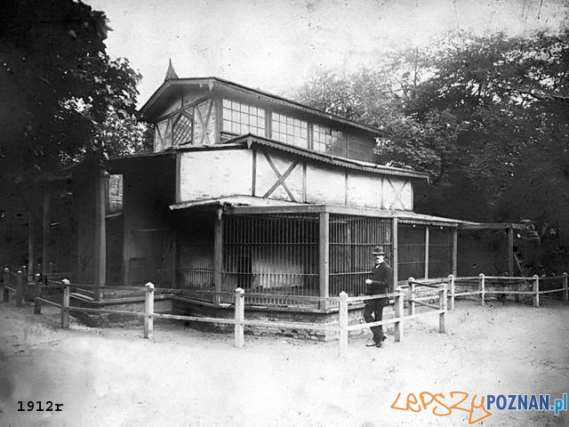 ZOO w Poznaniu 1912  Foto: Archowum ZOO w Poznaniu