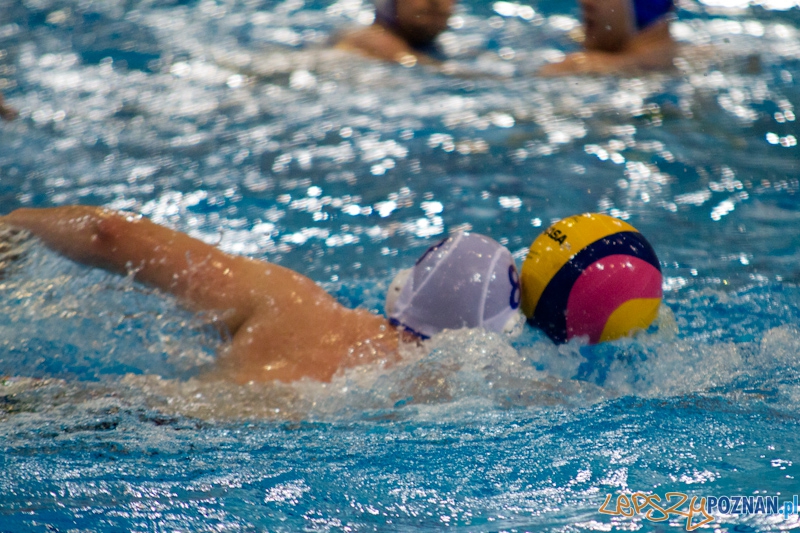 KS Waterpolo Poznań - Arkonia Szczecin - Termy Maltańskie 14.01.2012 r. Foto: lepszyPOZNAN.pl / Piotr Rychter KS Waterpolo Poznań - Arkonia Szczecin - Termy Maltańskie 14.01.2012 r. Foto: lepszyPOZNAN.pl / Piotr Rychter