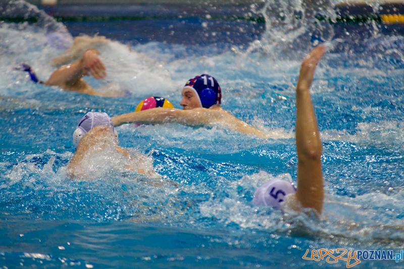 KS Waterpolo Poznań - Arkonia Szczecin - Termy Maltańskie 14.01.2012 r. Foto: lepszyPOZNAN.pl / Piotr Rychter KS Waterpolo Poznań - Arkonia Szczecin - Termy Maltańskie 14.01.2012 r. Foto: lepszyPOZNAN.pl / Piotr Rychter