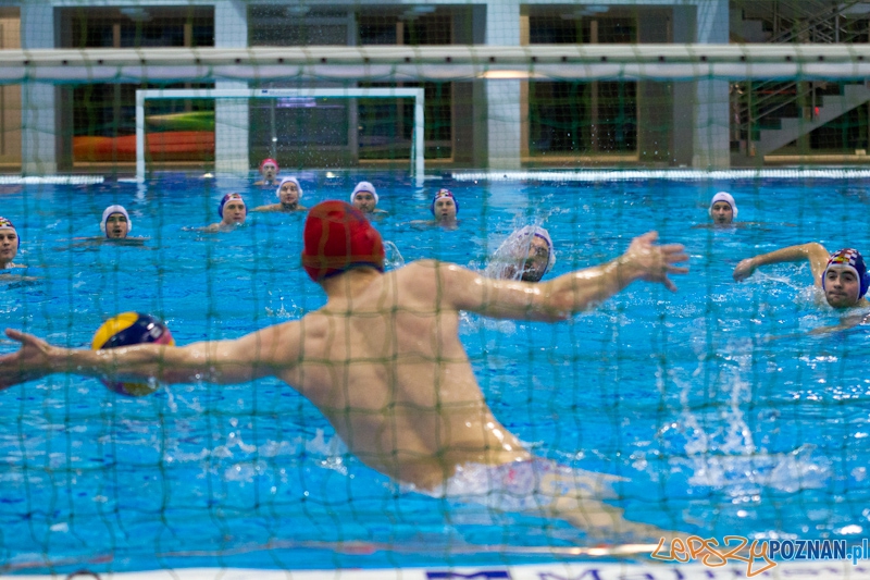 KS Waterpolo Poznań - Arkonia Szczecin - Termy Maltańskie 14.01.2012 r. Foto: lepszyPOZNAN.pl / Piotr Rychter KS Waterpolo Poznań - Arkonia Szczecin - Termy Maltańskie 14.01.2012 r. Foto: lepszyPOZNAN.pl / Piotr Rychter