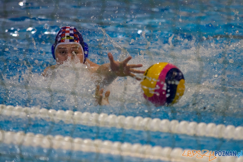 KS Waterpolo Poznań - Arkonia Szczecin - Termy Maltańskie 14.01.2012 r. Foto: lepszyPOZNAN.pl / Piotr Rychter KS Waterpolo Poznań - Arkonia Szczecin - Termy Maltańskie 14.01.2012 r. Foto: lepszyPOZNAN.pl / Piotr Rychter