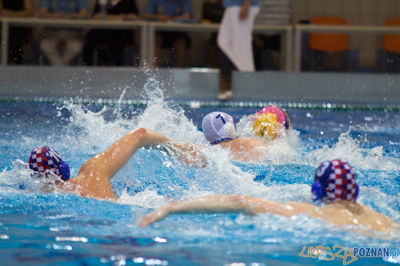 KS Waterpolo Poznań - Arkonia Szczecin - Termy Maltańskie 14.01.2012 r. Foto: lepszyPOZNAN.pl / Piotr Rychter KS Waterpolo Poznań - Arkonia Szczecin - Termy Maltańskie 14.01.2012 r. Foto: lepszyPOZNAN.pl / Piotr Rychter