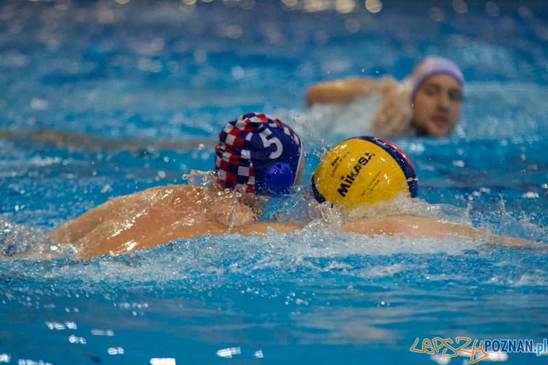 KS Waterpolo Poznań - Arkonia Szczecin - Termy Maltańskie 14.01.2012 r. Foto: lepszyPOZNAN.pl / Piotr Rychter KS Waterpolo Poznań - Arkonia Szczecin - Termy Maltańskie 14.01.2012 r. Foto: lepszyPOZNAN.pl / Piotr Rychter