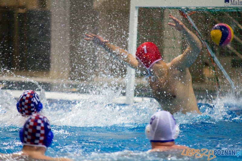 KS Waterpolo Poznań - Arkonia Szczecin - Termy Maltańskie 14.01.2012 r. Foto: lepszyPOZNAN.pl / Piotr Rychter KS Waterpolo Poznań - Arkonia Szczecin - Termy Maltańskie 14.01.2012 r. Foto: lepszyPOZNAN.pl / Piotr Rychter