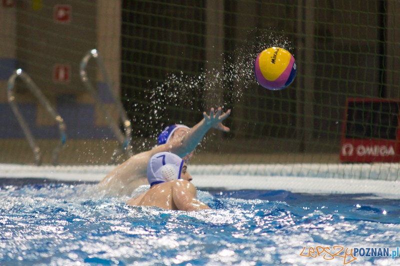 KS Waterpolo Poznań - Arkonia Szczecin - Termy Maltańskie 14.01.2012 r. Foto: lepszyPOZNAN.pl / Piotr Rychter KS Waterpolo Poznań - Arkonia Szczecin - Termy Maltańskie 14.01.2012 r. Foto: lepszyPOZNAN.pl / Piotr Rychter