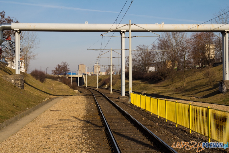 15 lat istnienia PeSTki Foto: lepszyPOZNAN.pl / Piotr Rychter 15 lat istnienia PeSTki Foto: lepszyPOZNAN.pl / Piotr Rychter