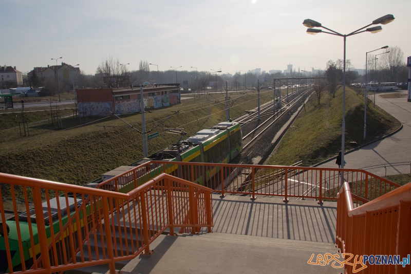 15 lat istnienia PeSTki Foto: lepszyPOZNAN.pl / Piotr Rychter 15 lat istnienia PeSTki Foto: lepszyPOZNAN.pl / Piotr Rychter
