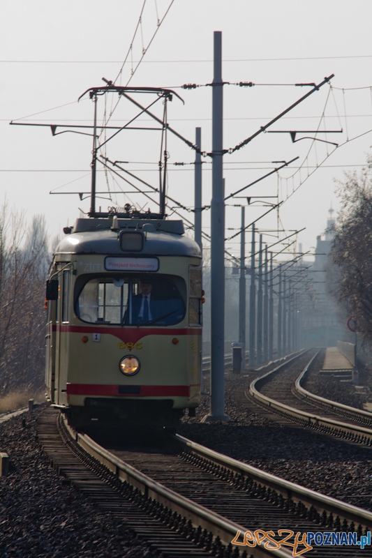 15 lat istnienia PeSTki Foto: lepszyPOZNAN.pl / Piotr Rychter 15 lat istnienia PeSTki Foto: lepszyPOZNAN.pl / Piotr Rychter