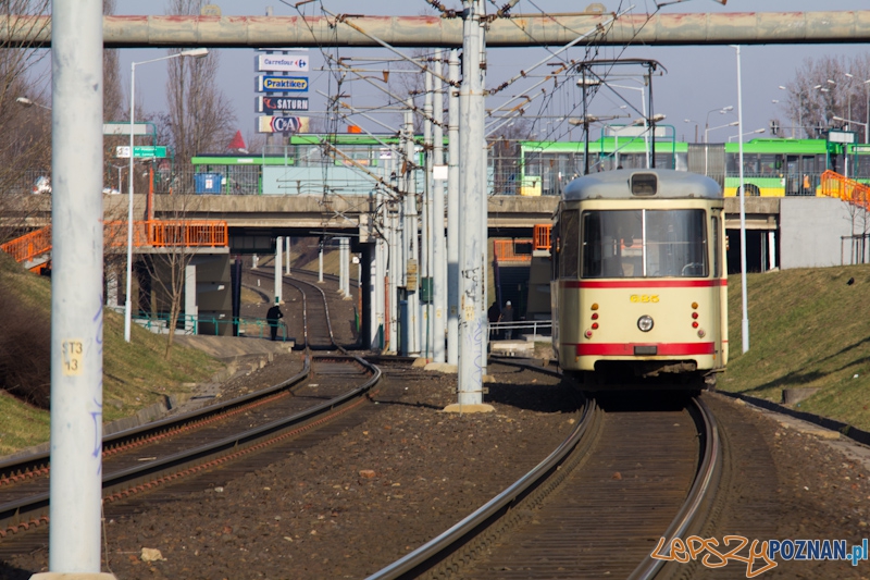 15 lat istnienia PeSTki Foto: lepszyPOZNAN.pl / Piotr Rychter 15 lat istnienia PeSTki Foto: lepszyPOZNAN.pl / Piotr Rychter