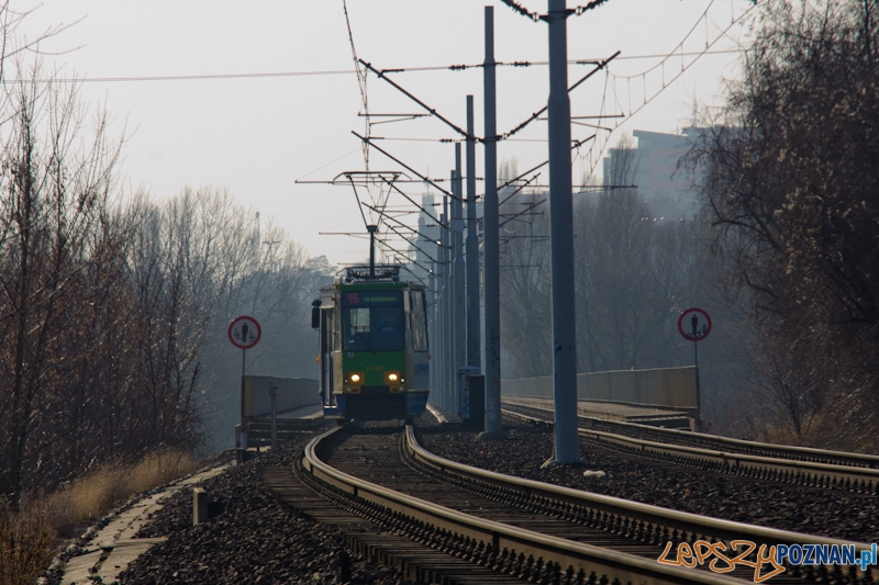 15 lat istnienia PeSTki Foto: lepszyPOZNAN.pl / Piotr Rychter 15 lat istnienia PeSTki Foto: lepszyPOZNAN.pl / Piotr Rychter
