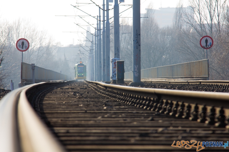 15 lat istnienia PeSTki Foto: lepszyPOZNAN.pl / Piotr Rychter 15 lat istnienia PeSTki Foto: lepszyPOZNAN.pl / Piotr Rychter