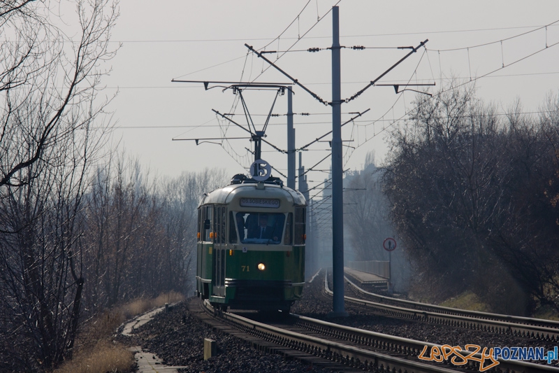 15 lat istnienia PeSTki Foto: lepszyPOZNAN.pl / Piotr Rychter 15 lat istnienia PeSTki Foto: lepszyPOZNAN.pl / Piotr Rychter