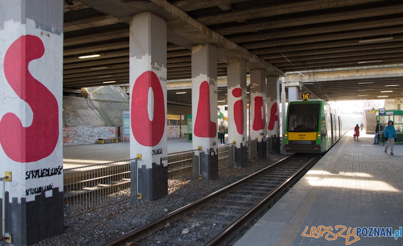 15 lat istnienia PeSTki Foto: lepszyPOZNAN.pl / Piotr Rychter 15 lat istnienia PeSTki Foto: lepszyPOZNAN.pl / Piotr Rychter
