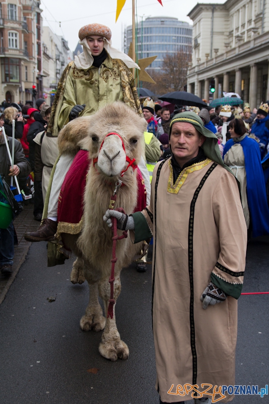 Orszak Trzech Króli - 6.01.2012 r. Foto: lepszyPOZNAN.pl / Piotr Rychter Orszak Trzech Króli - 6.01.2012 r. Foto: lepszyPOZNAN.pl / Piotr Rychter