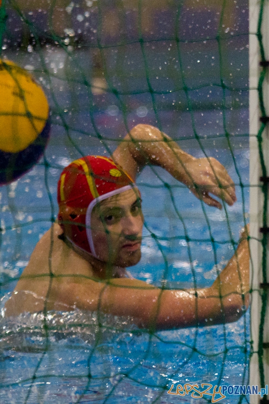 KS Waterpolo Poznań - UKPW Warszawa - Termy Maltańskie 13.01.2012 r. Foto: lepszyPOZNAN.pl / Piotr Rychter KS Waterpolo Poznań - UKPW Warszawa - Termy Maltańskie 13.01.2012 r. Foto: lepszyPOZNAN.pl / Piotr Rychter